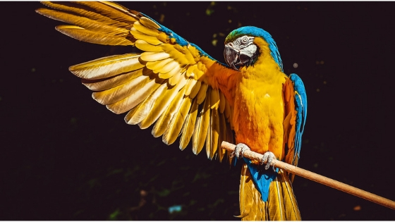 ΠΟΙΑ ΕΙΝΑΙ ΤΑ ΑΠΟΤΕΛΕΣΜΑΤΙΚΑ ΧΡΩΜΑΤΑ ΓΙΑ ΕΝΑ ΑΥΤΟΚΟΛΛΗΤΟ