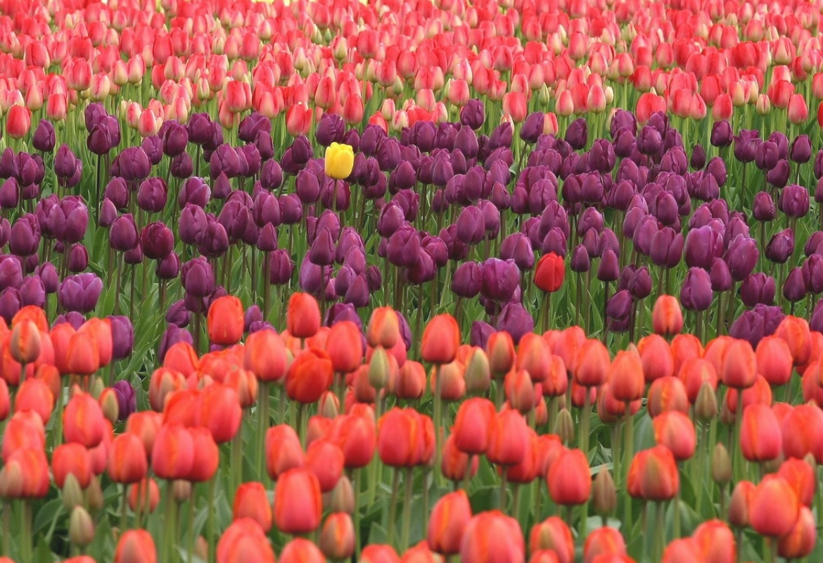 H σπουδαιοτητα των ατομικων αθληματων.