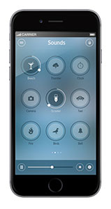 Porro quisquam est qui.